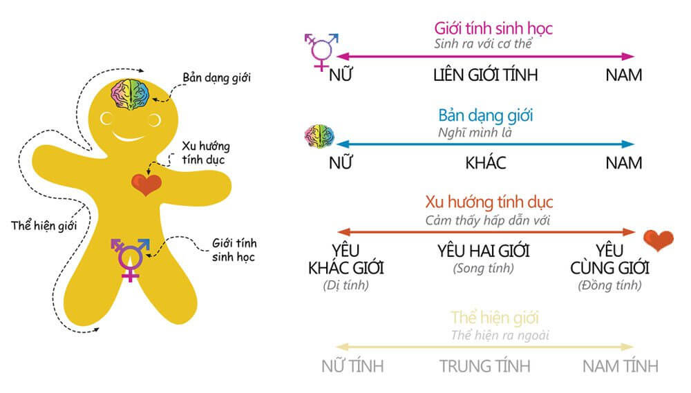 Hiểu biết hơn về xu hướng giới tính