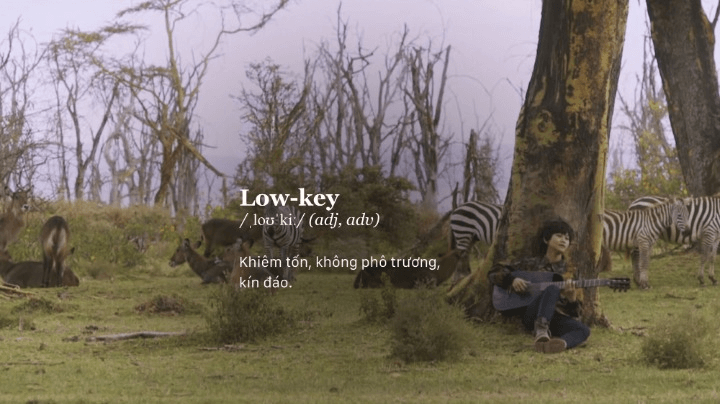 Lowkey là gì trên mạng xã hội?