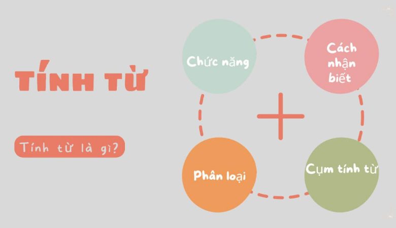 Tính từ là gì?