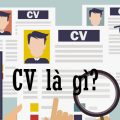 CV là gì?