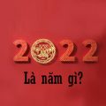 Năm 2022 là năm gì?